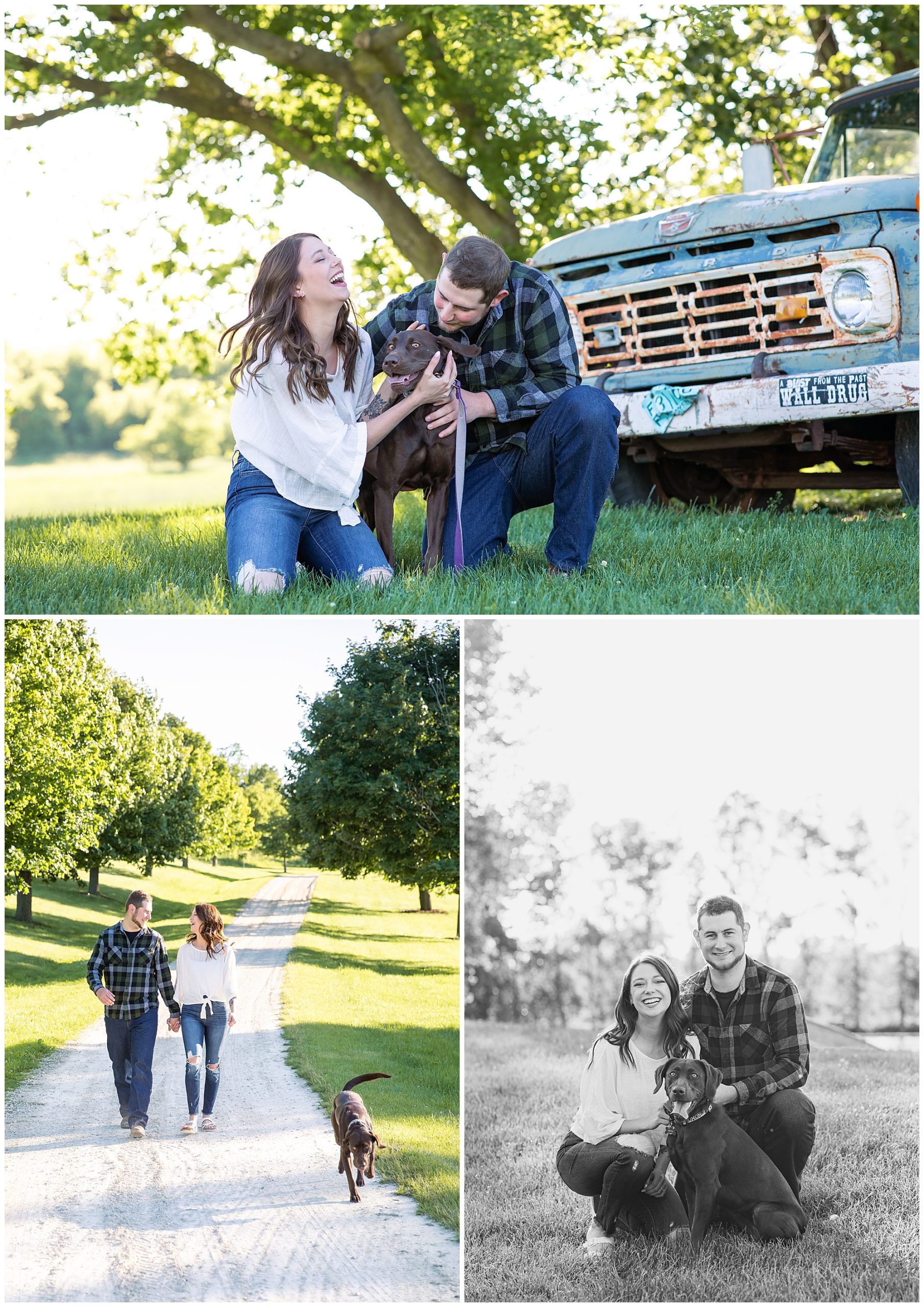 Dog Engagement Session with Kuffel Photography