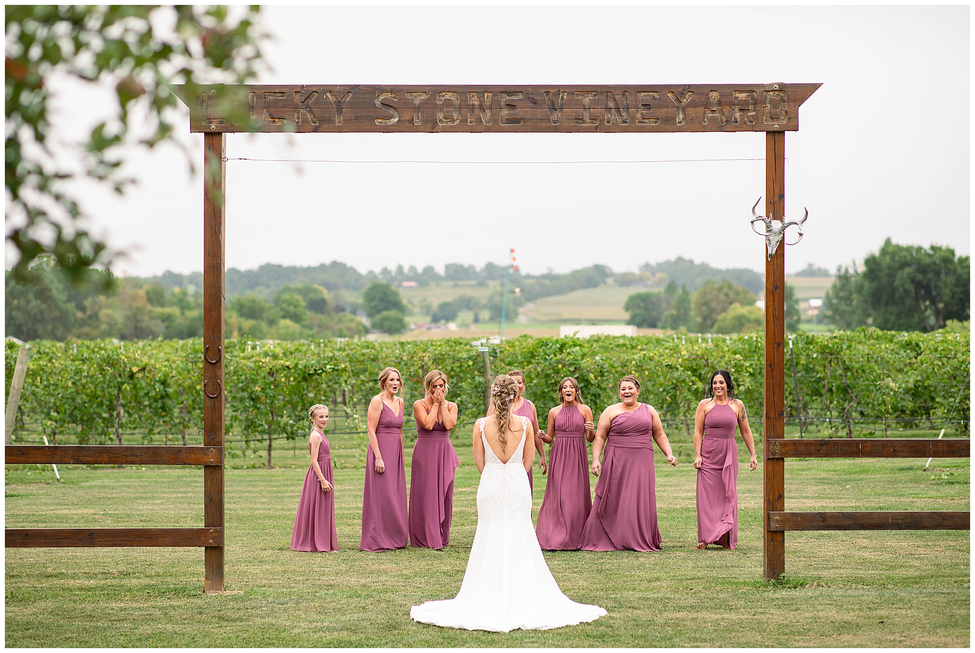  first look with bridesmaids in vineyard on Lake Winnebago