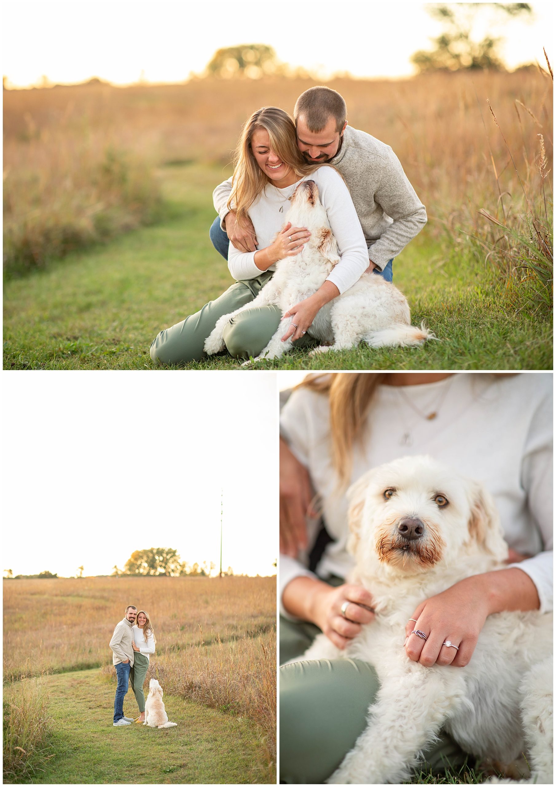 Dog in engagement photos