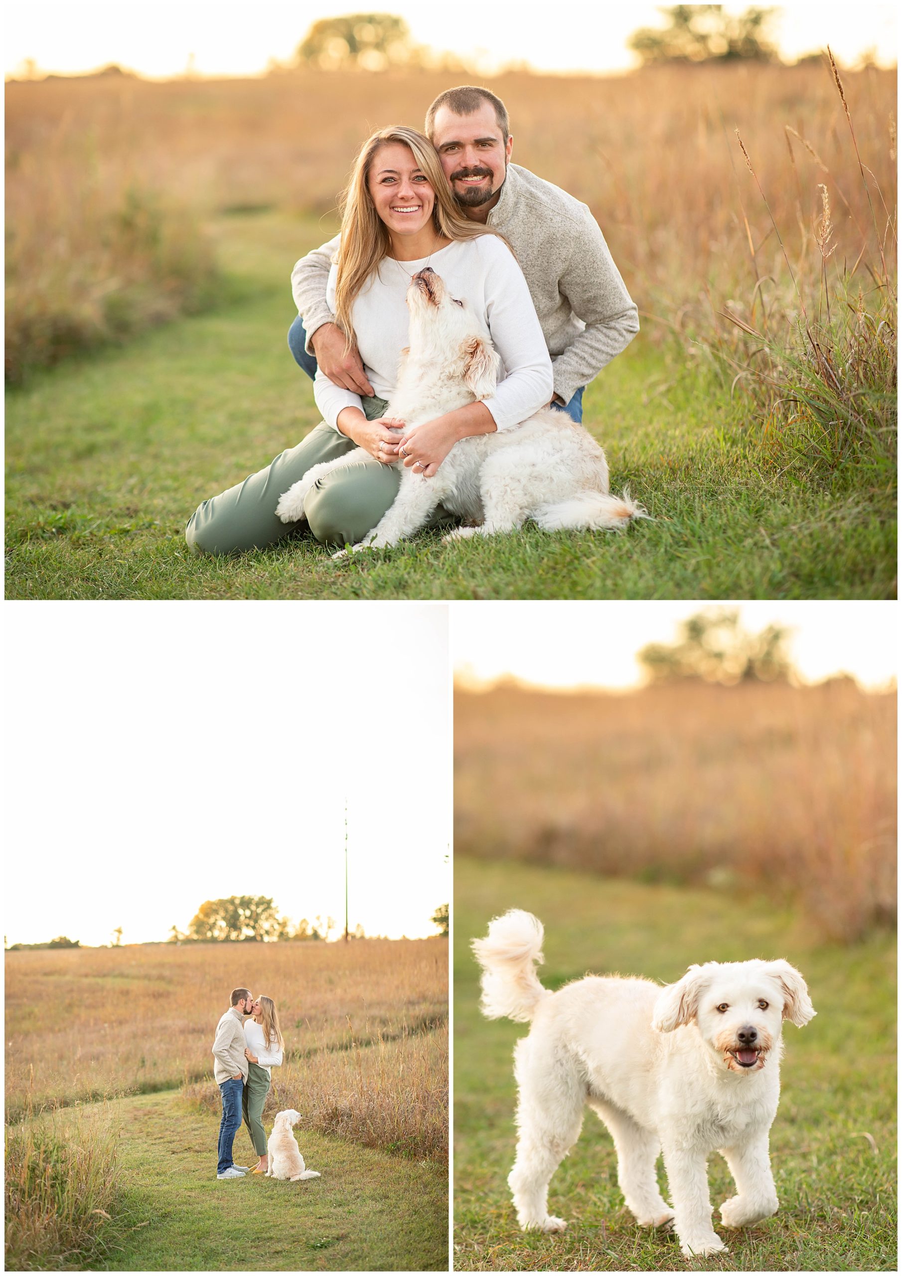 fall photo shoot with dog 