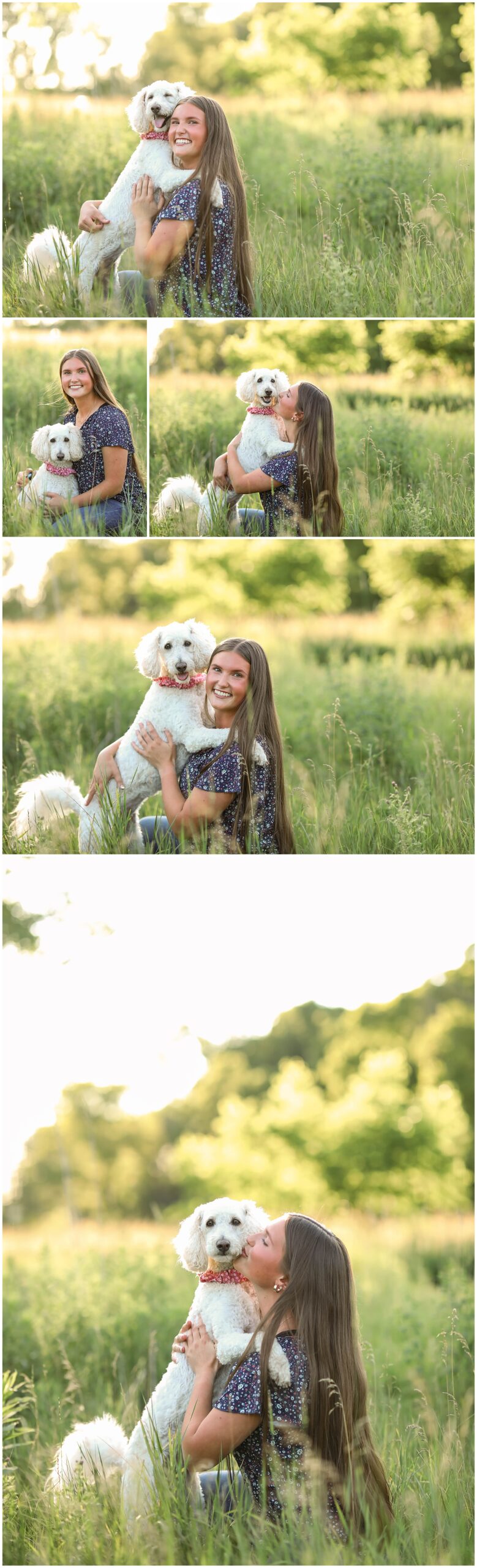 Mini Golden Poodle in Senior Photos 